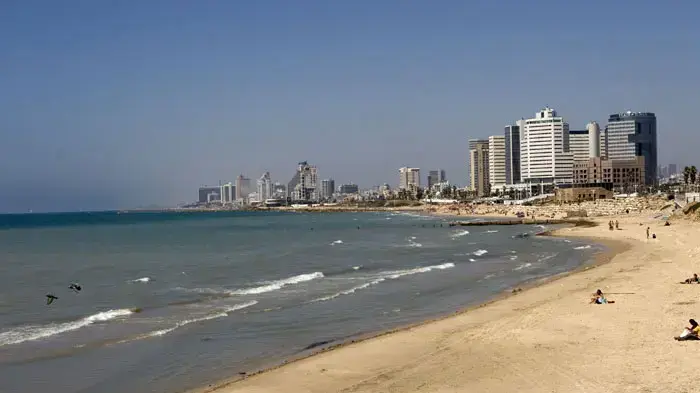 כתם חום בחופי דרום תל אביב כתם חום בחופי דרום תל אביב