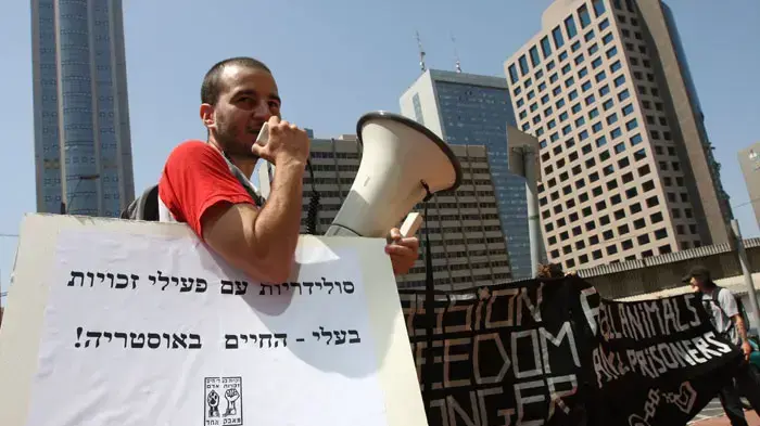 הפגנת פעילי זכויות בעלי חיים מול שגרירות אוסטריה הפגנת פעילי זכויות בעלי חיים מול שגרירות אוסטריה