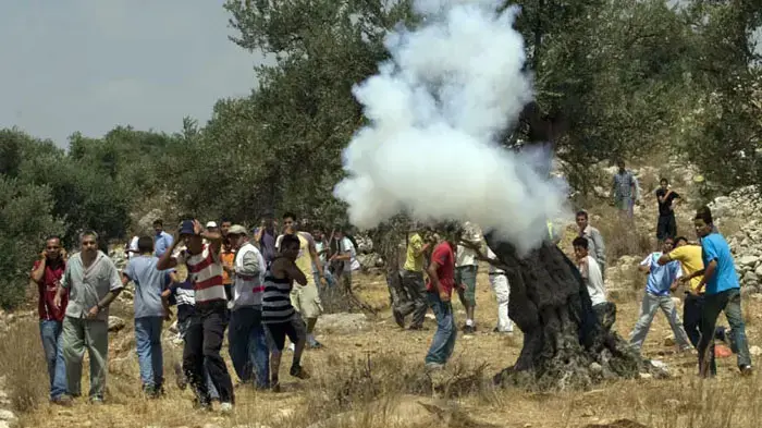 מפגינים נגד גדר ההפרדה בניעלין