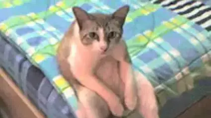 בסבבה שלו בסבבה שלו