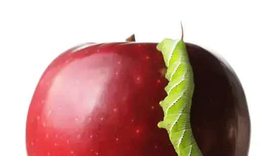 אילוסטרציה אילוסטרציה