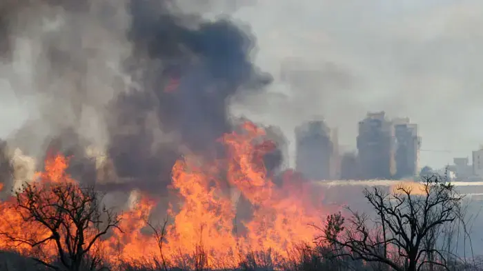 שריפה סמוך לצומת ירקונים בפתח תקווה שריפה סמוך לצומת ירקונים בפתח תקווה