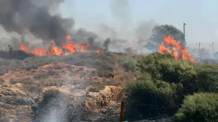 שריפה בגלילות שריפה בגלילות