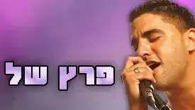 באנר משה פרץ של אהבה