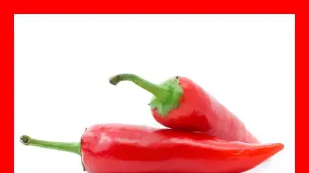 אילוסטרציה 
