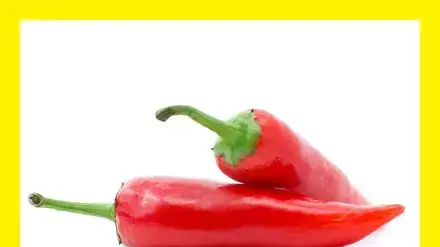 אילוסטרציה