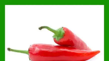 אילוסטרציה