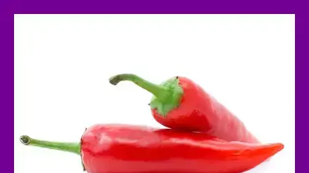 אילוסטרציה