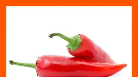 אילוסטרציה