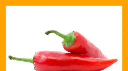 אילוסטרציה
