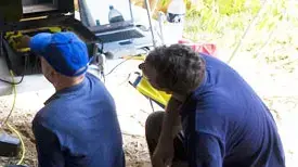 חיפושים אחר הילדה רוז חיפושים אחר הילדה רוז