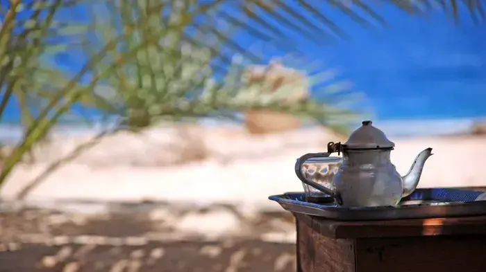 קפה בסיני קפה בסיני