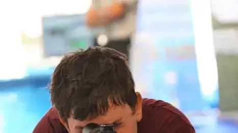 תערוכת נשק תערוכת נשק