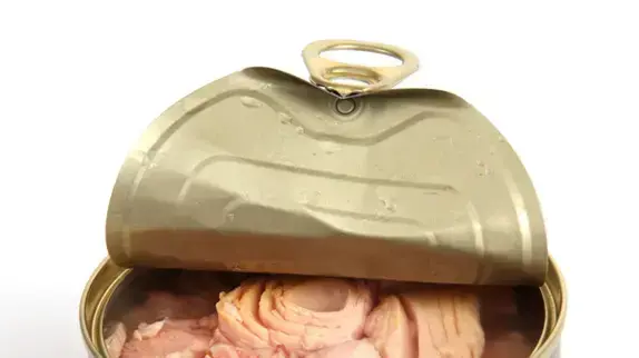 פחית טונה פחית טונה