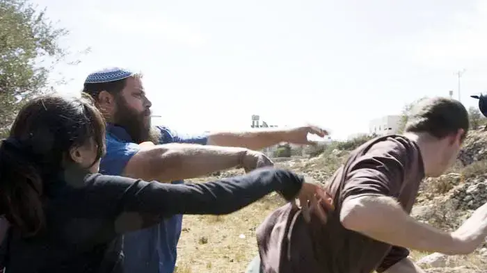עימותים בין פעילי שמאל למתנחלים במסיק זיתים ליד חברון עימותים בין פעילי שמאל למתנחלים במסיק זיתים ליד חברון