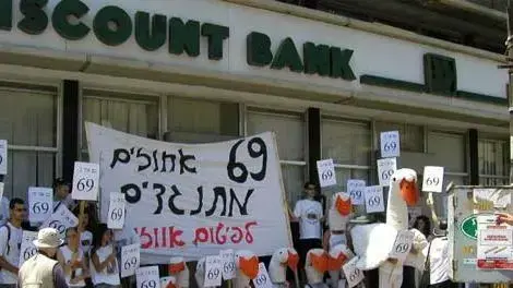 הפגנה נגד פיטום אווזים מול מועצת הלול הפגנה נגד פיטום אווזים מול מועצת הלול