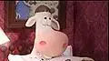Aerobic-Cows פרות אירוביות