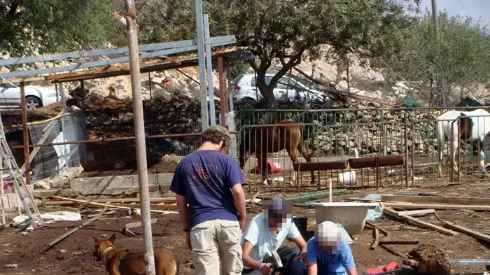 נוער הגבעות נוער הגבעות