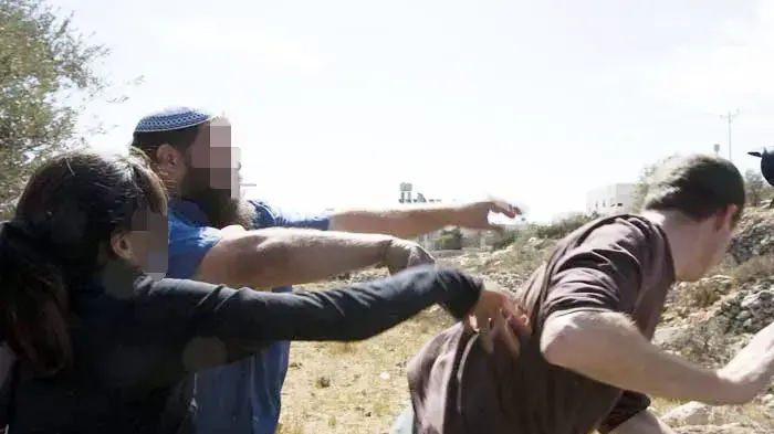 עימותים בין פעילי שמאל למתנחלים במסיק זיתים ליד חברון עימותים בין פעילי שמאל למתנחלים במסיק זיתים ליד חברון