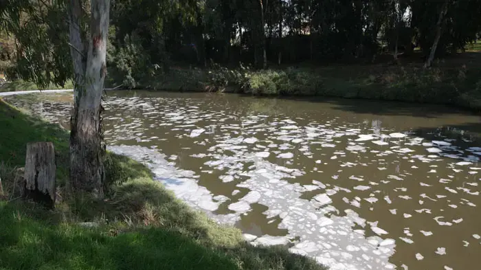 נחל הירקון מזוהם נחל הירקון מזוהם