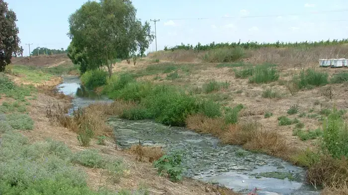אפיק נחל לכיש (נחל האלה)- שפכים סניטאריים ותעשייתיים אפיק נחל לכיש (נחל האלה)- שפכים סניטאריים ותעשייתיים
