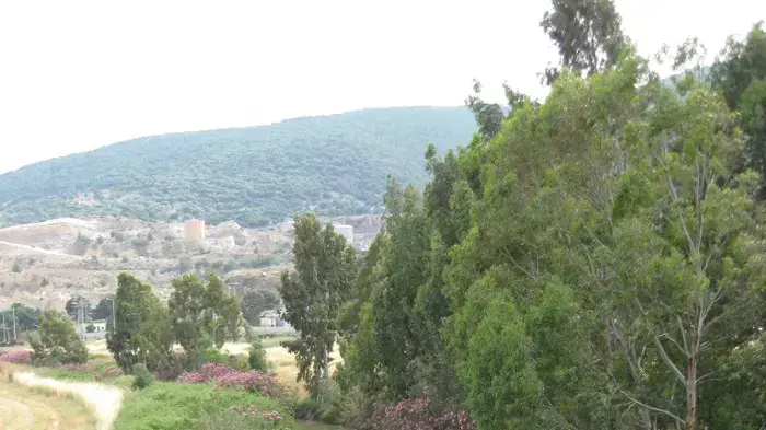 זיהום בנחל קישון זיהום בנחל קישון