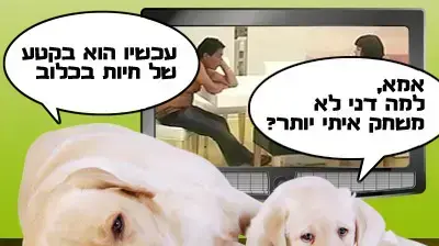 קרציה 1