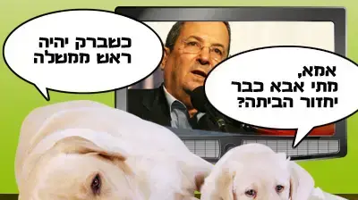 קרציה 2
