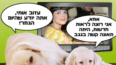 קרציה 4