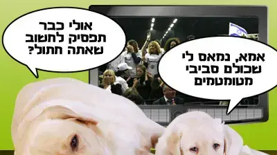 קרציה 4