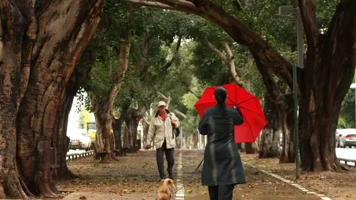 יום חורפי יום חורפי