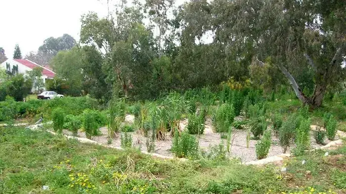 מתקן טיהור מעברות מתקן טיהור מעברות