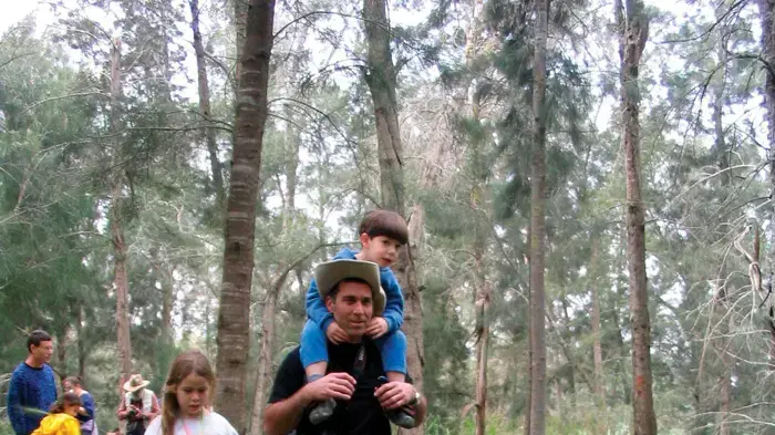 דרך היער - מתוך הספר קסם היער מאת יגאל צור תיירות דרך היער - מתוך הספר קסם היער מאת יגאל צור תיירות