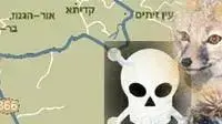 הרעלת שועלים וקיפודים בשמורת מירון הרעלת שועלים וקיפודים בשמורת מירון