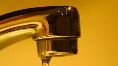 אילוסטרציה אילוסטרציה