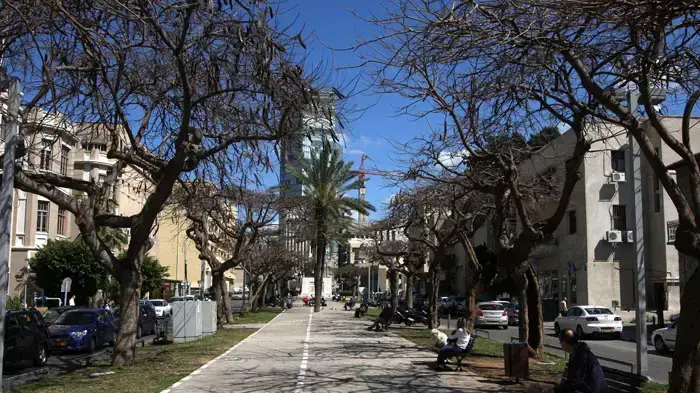 שד רוטשילד תל אביב שד רוטשילד תל אביב