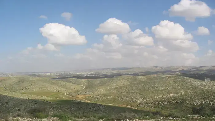 גבעות לכיש גבעות לכיש