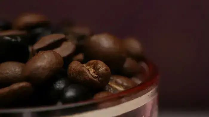 פוטו קופי פוטו קופי