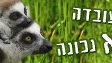 נחשו איזו עובדה לא נכונה