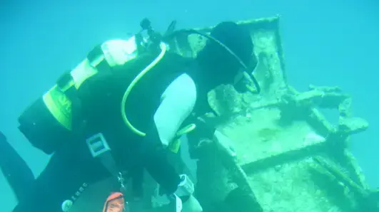 העברת השונית המלאכותית באילת העברת השונית המלאכותית באילת