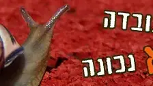 נחשו איזו עובדה לא נכונה נחשו איזו עובדה לא נכונה