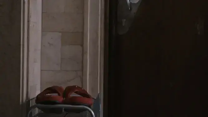 סגל יובל שני