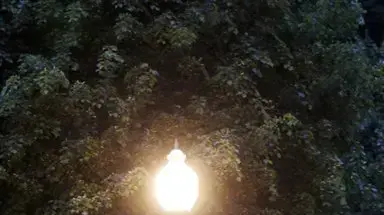 ברק אובמה ומישל אובמה מטיילים במדשאת הבית הלבן