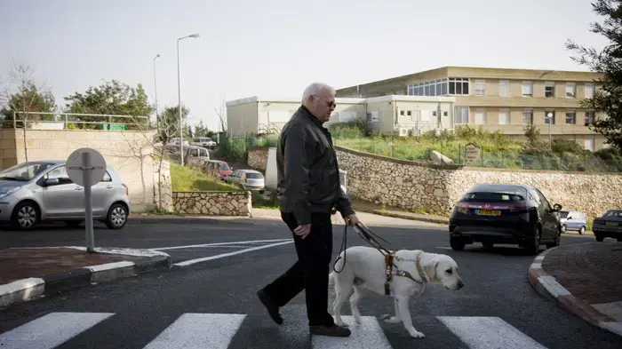 אלווין שמידט אלווין שמידט