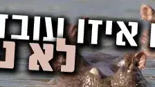 נחשו איזו עובדה לא נכונה נחשו איזו עובדה לא נכונה