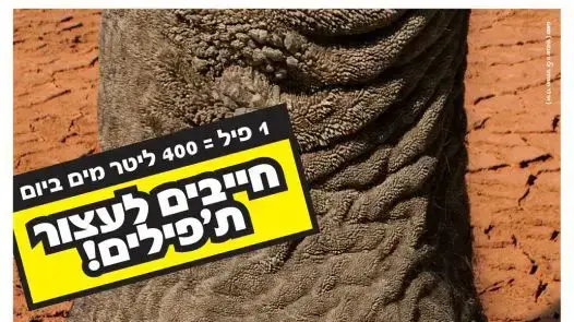 פרויקט שנאה נגד פילים לקראת היום הבינ"ל למאבק בהומופוביה פרויקט שנאה נגד פילים לקראת היום הבינ"ל למאבק בהומופוביה