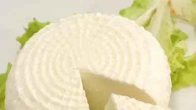 אילוסטרציה אילוסטרציה