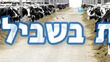 באנר שבועות בשביל החלב באנר שבועות בשביל החלב