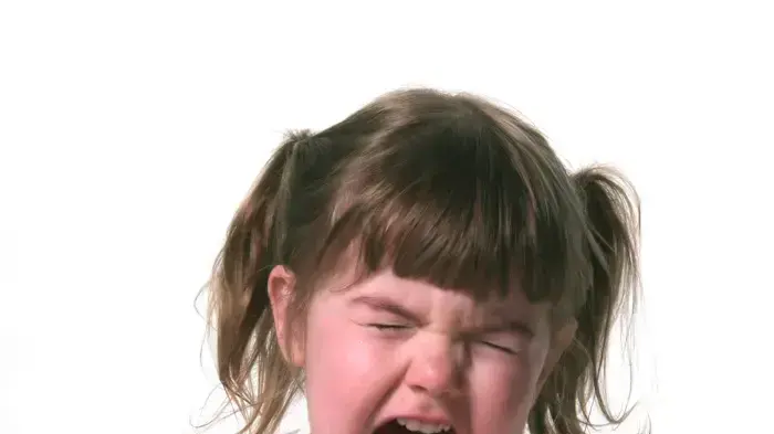 אילוסטרציה אילוסטרציה