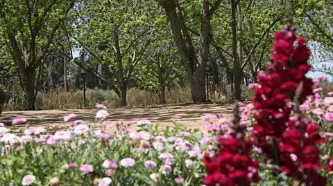 תוכנית בטב"ע תוכנית בטב"ע
